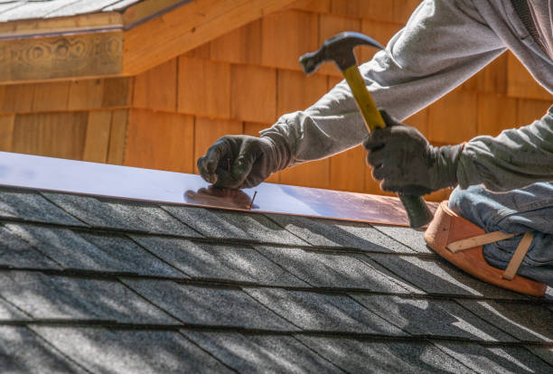 Best Roof Insulation Installation  in Holley, FL