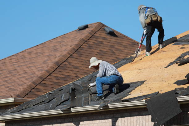 Best Roof Maintenance  in Holley, FL