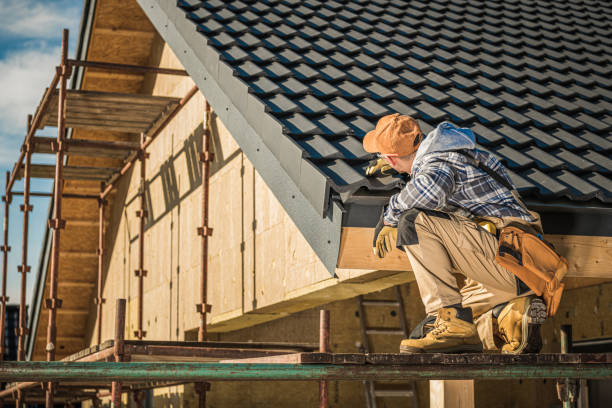 Best Solar Panel Roofing Installation  in Holley, FL